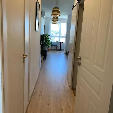 Apartamento Nice Central Studio, Renovated And With Views. Town Center.